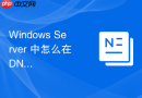 Windows Server 中怎么在 DNS 服务器中启用并配置根提示服务器