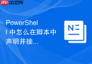 PowerShell 中怎么在脚本中声明并接收传入的参数