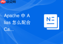 Apache 中 Alias 怎么配合 Cache 模块缓存动态脚本输出的静态页面