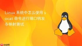 linux 系统中怎么使用 socat 命令进行端口转发与映射测试