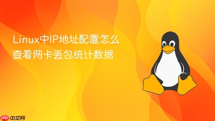 linux中ip地址配置怎么查看网卡丢包统计数据