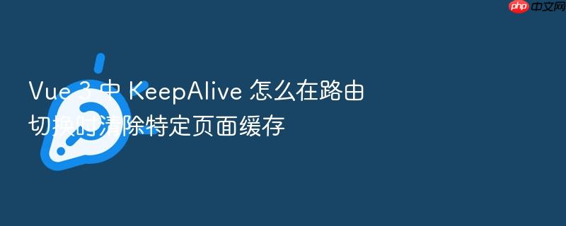 vue 3 中 keepalive 怎么在路由切换时清除特定页面缓存