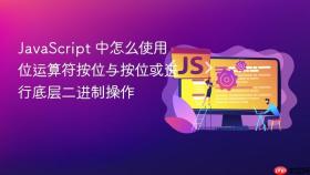 JavaScript 中怎么使用位运算符按位与按位或进行底层二进制操作