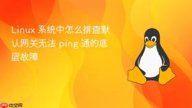 linux 系统中怎么排查默认网关无法 ping 通的底层故障