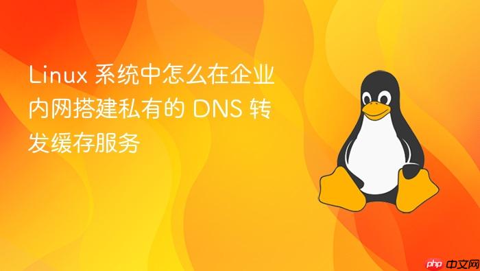 linux 系统中怎么在企业内网搭建私有的 dns 转发缓存服务