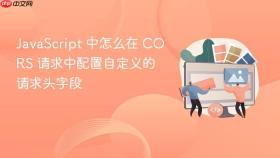 javascript 中怎么在 cors 请求中配置自定义的请求头字段