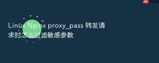 linux nginx proxy_pass 转发请求时怎么过滤敏感参数