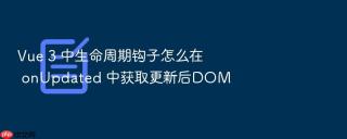 vue 3 中生命周期钩子怎么在 onupdated 中获取更新后dom