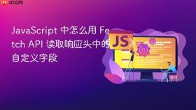 JavaScript 中怎么用 Fetch API 读取响应头中的自定义字段