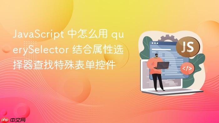 javascript 中怎么用 queryselector 结合属性选择器查找特殊表单控件