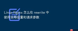 Linux Nginx 怎么在 rewrite 中使用全局变量和请求参数