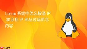 linux 系统中怎么按源 ip 或目标 ip 地址过滤抓包内容