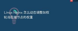 Linux Nginx 怎么动态调整加权轮询后端节点的权重