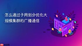 怎么通过子网划分优化大规模集群的广播通信