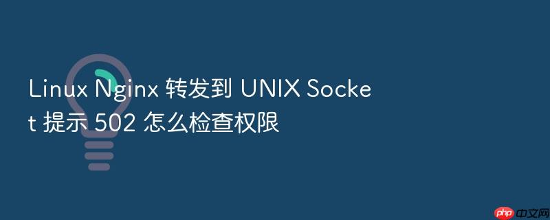 linux nginx 转发到 unix socket 提示 502 怎么检查权限