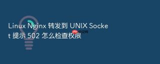 Linux Nginx 转发到 UNIX Socket 提示 502 怎么检查权限