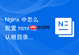 nginx 中怎么配置 html 默认根目录与静态资源存放路径