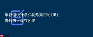 缓存键设计怎么剔除无用的URL参数防止缓存污染