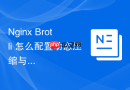 Nginx Brotli 怎么配置动态压缩与静态预压缩文件分发