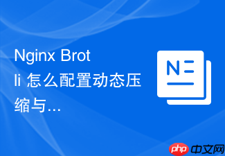 nginx brotli 怎么配置动态压缩与静态预压缩文件分发