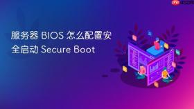 服务器 bios 怎么配置安全启动 secure boot