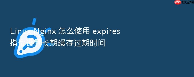 linux nginx 怎么使用 expires 指令设置长期缓存过期时间