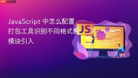 javascript 中怎么配置打包工具识别不同格式的模块引入