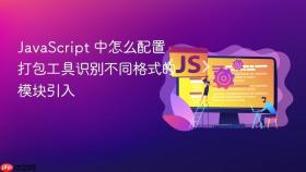 JavaScript 中怎么配置打包工具识别不同格式的模块引入