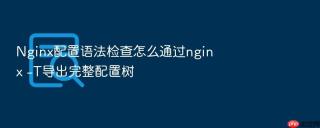 Nginx配置语法检查怎么通过nginx -T导出完整配置树