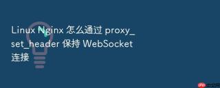 Linux Nginx 怎么通过 proxy_set_header 保持 WebSocket 连接