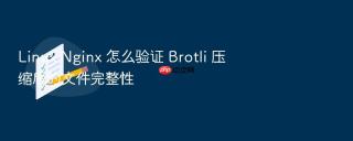 Linux Nginx 怎么验证 Brotli 压缩后的文件完整性