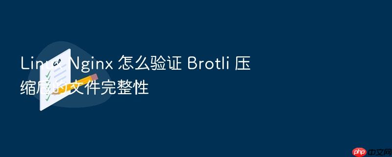 linux nginx 怎么验证 brotli 压缩后的文件完整性