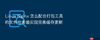 linux nginx 怎么配合打包工具的文件哈希值实现完美缓存更新