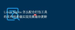 Linux Nginx 怎么配合打包工具的文件哈希值实现完美缓存更新