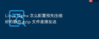 Linux Nginx 怎么配置预先压缩好的静态 gzip 文件直接发送