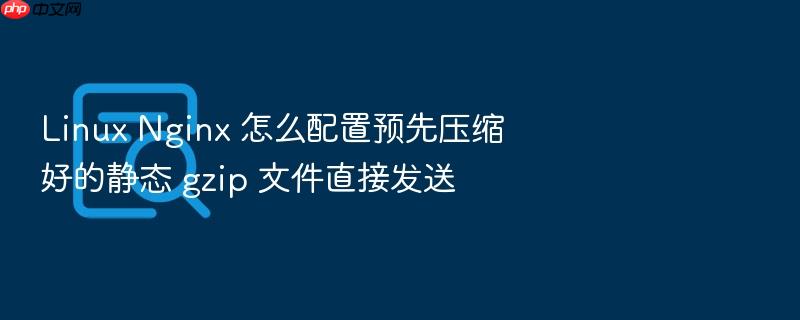 linux nginx 怎么配置预先压缩好的静态 gzip 文件直接发送