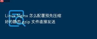 linux nginx 怎么配置预先压缩好的静态 gzip 文件直接发送