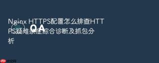 nginx https配置怎么排查https疑难杂症综合诊断及抓包分析