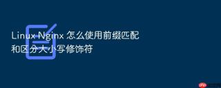 linux nginx 怎么使用前缀匹配和区分大小写修饰符