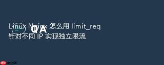 linux nginx 怎么用 limit_req 针对不同 ip 实现独立限流