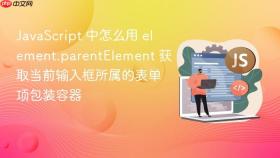javascript 中怎么用 element.parentelement 获取当前输入框所属的表单项包装容器