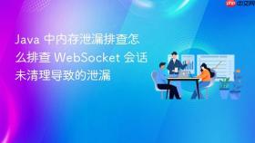 java 中内存泄漏排查怎么排查 websocket 会话未清理导致的泄漏