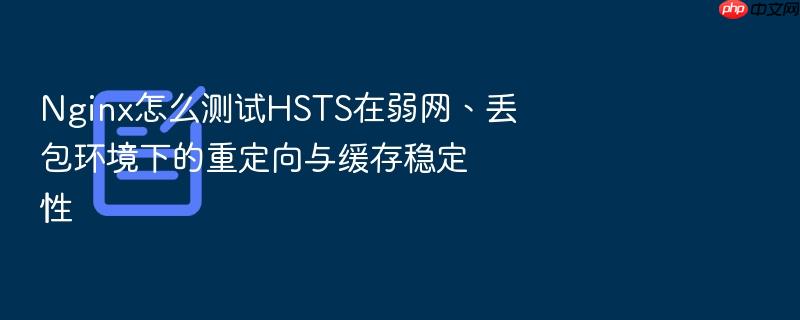 nginx怎么测试hsts在弱网、丢包环境下的重定向与缓存稳定性