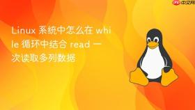 linux 系统中怎么在 while 循环中结合 read 一次读取多列数据