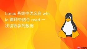 Linux 系统中怎么在 while 循环中结合 read 一次读取多列数据