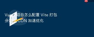 Vue 3 项目怎么配置 Vite 打包分包与 CDN 加速优化