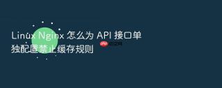 linux nginx 怎么为 api 接口单独配置禁止缓存规则