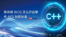 服务器 BIOS 怎么开启硬件 AES 加密加速