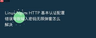 Linux Nginx HTTP 基本认证配置错误导致输入密码无限弹窗怎么解决