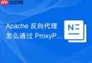 Apache 反向代理怎么通过 ProxyPassReverse 映射根路径